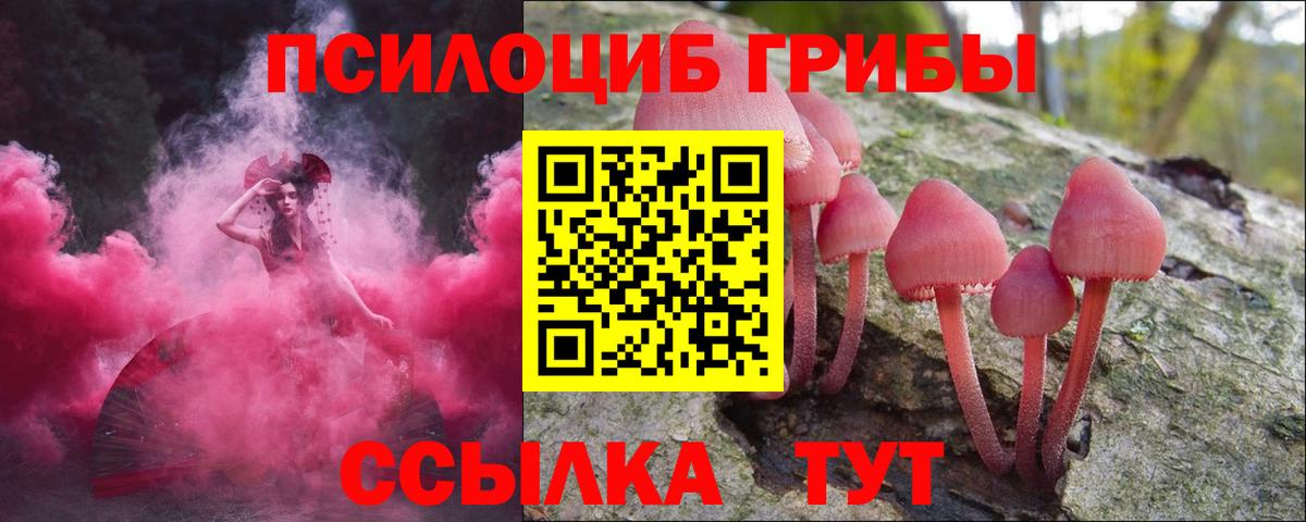 Галлюциногенные грибы Psilocybe  Галлюциногенные грибы Psilocybe  Вход с VPN  Кушва 