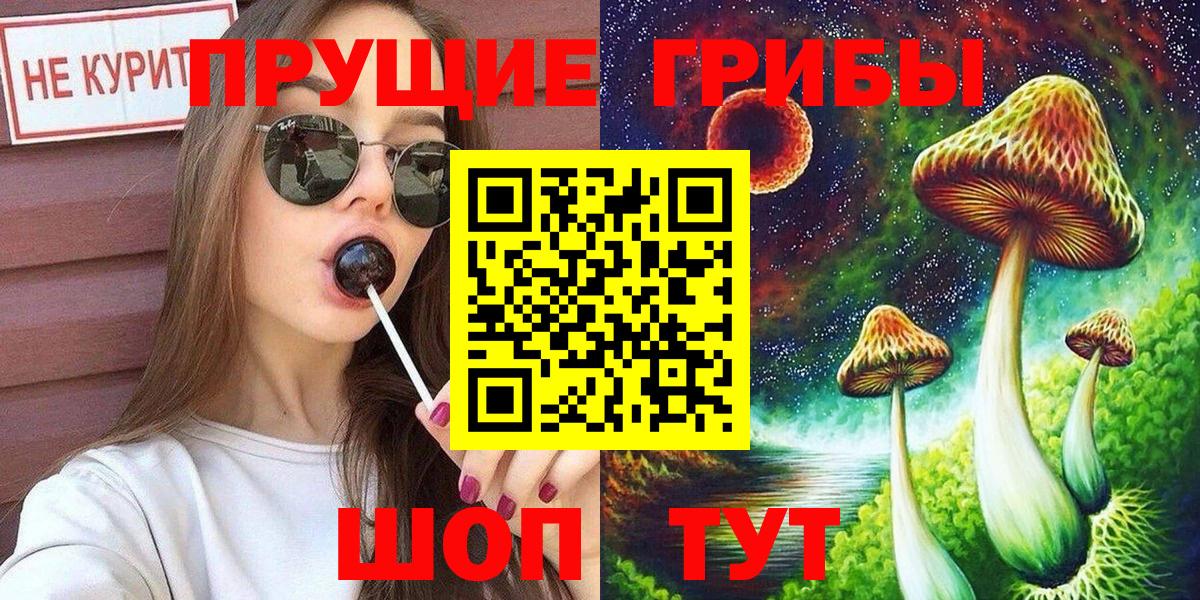 Галлюциногенные грибы Psilocybine cubensis Кушва